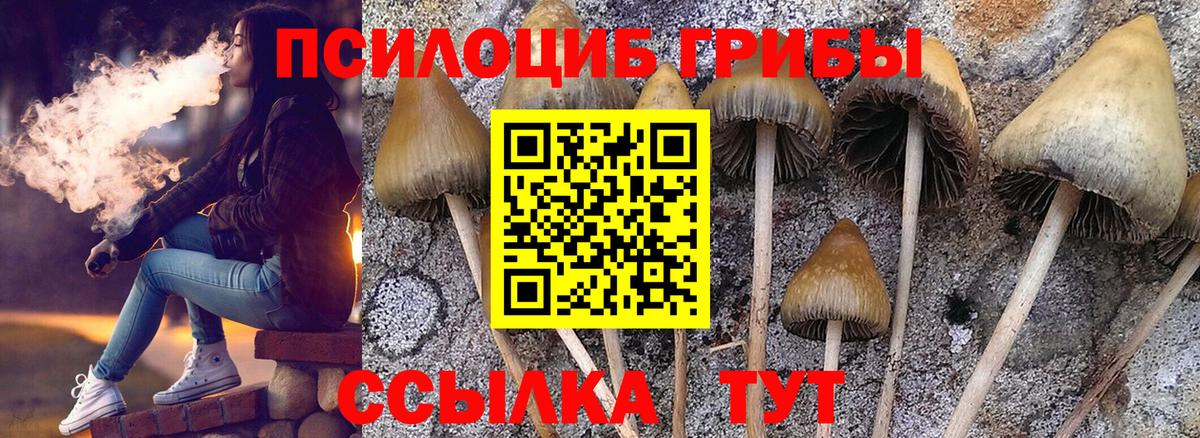 Карталы  дарнет шоп  Вход с VPN  Псилоцибиновые грибы MAGIC MUSHROOMS 