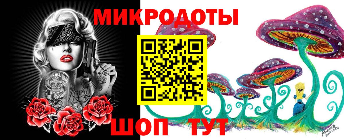 Псилоцибиновые грибы GOLDEN TEACHER Карталы